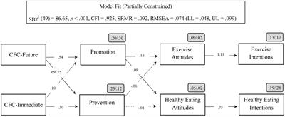 Does Promotion Orientation Help Explain Why Future-Orientated People Exercise and Eat Healthy?